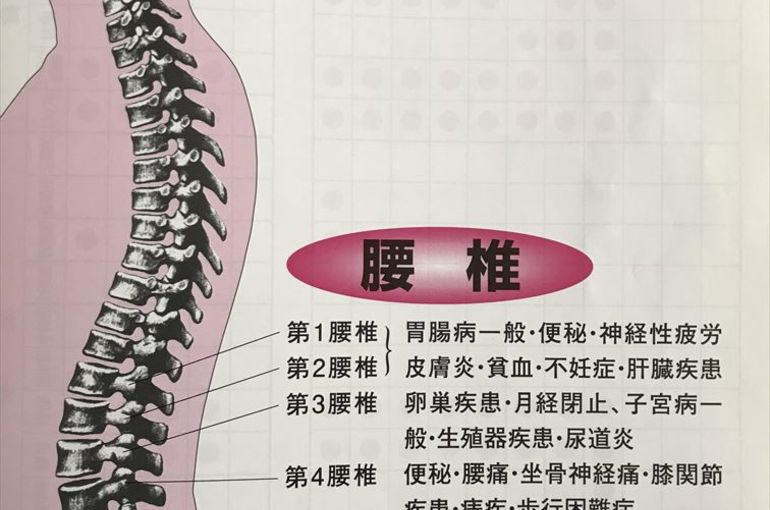 腰痛改善なら入間市の整体院カイロプラクティック マーサンへ